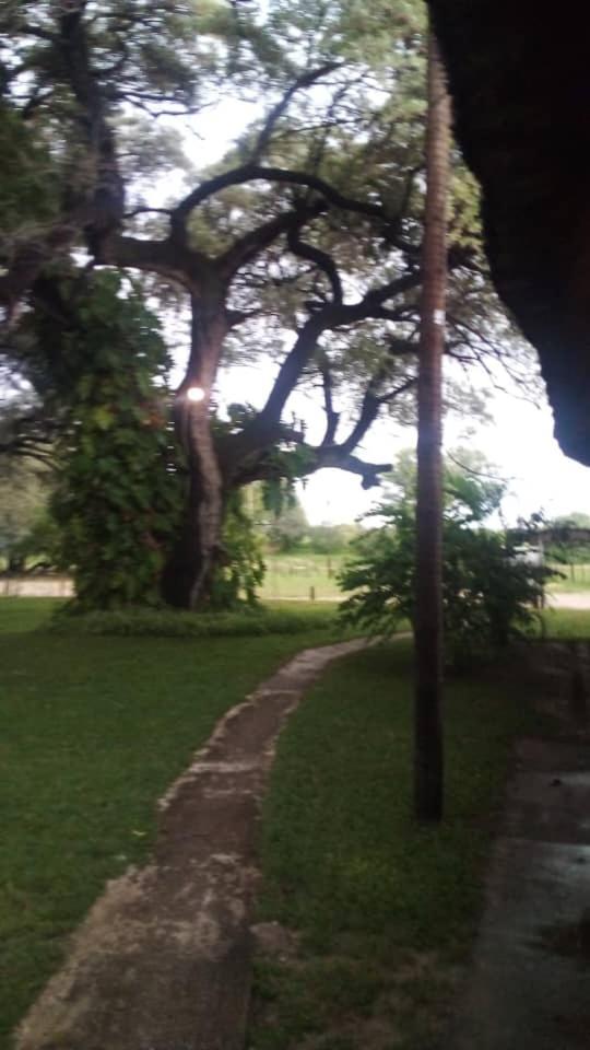 Camp Hogo Kavango Rundu Extérieur photo