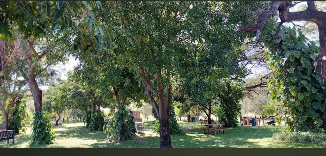 Camp Hogo Kavango Rundu Extérieur photo