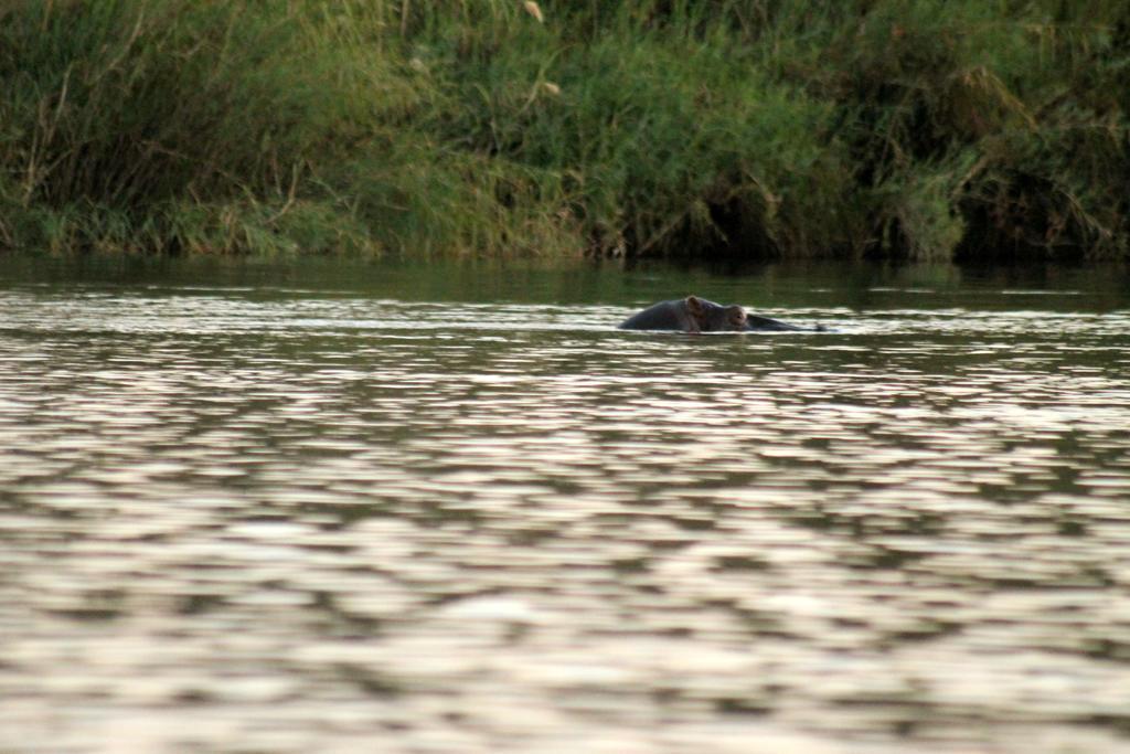 Camp Hogo Kavango Rundu Extérieur photo